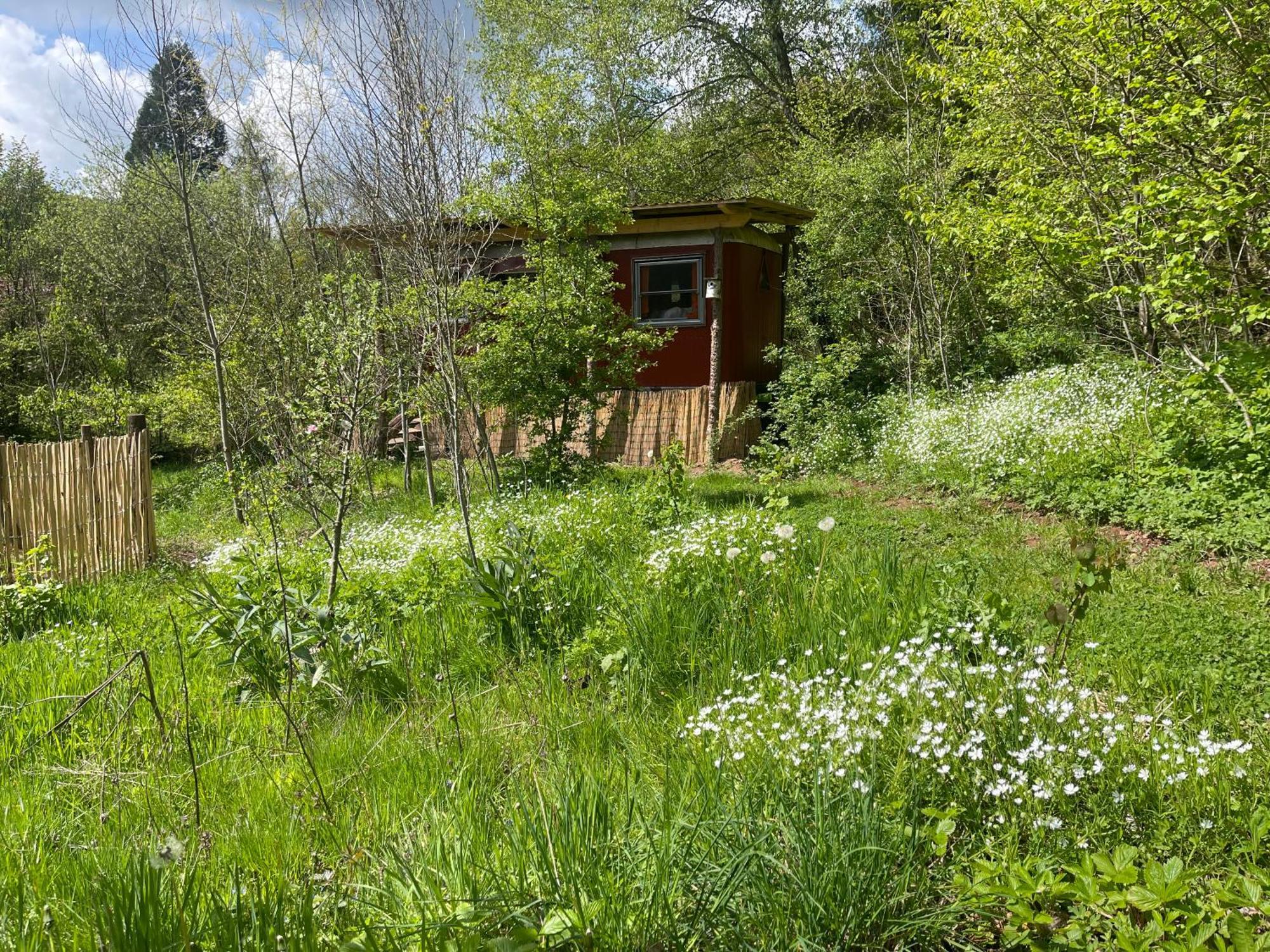 Kuscheliger Zirkuswagen Im Wildgarten Витценхаузен Екстериор снимка